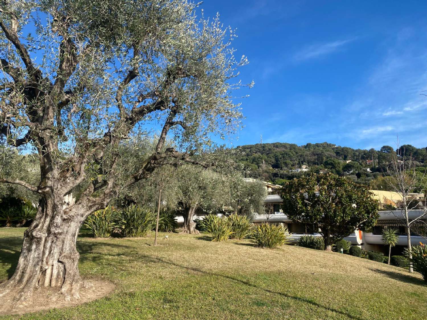  kaufen Wohnung/ Apartment Le Cannet Alpes-Maritimes 7