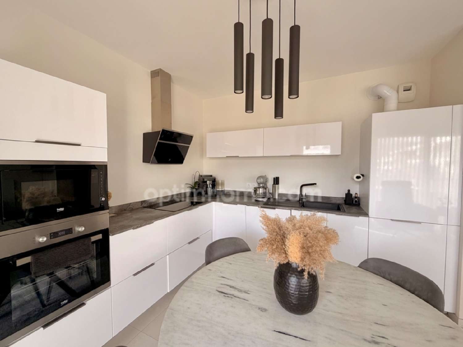  te koop appartement Les Ollières Haute-Savoie 4