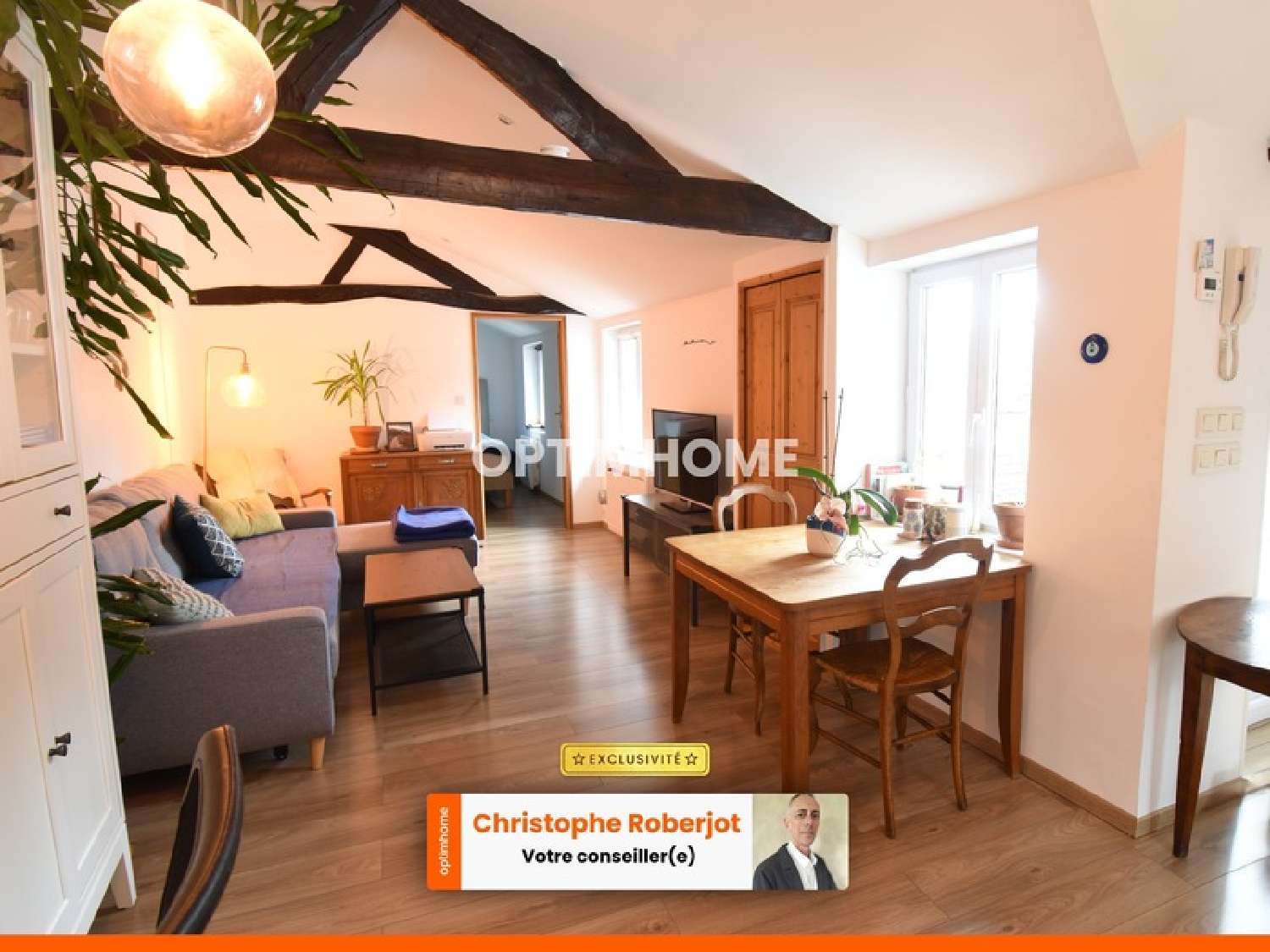  à vendre appartement Lux Saône-et-Loire 7