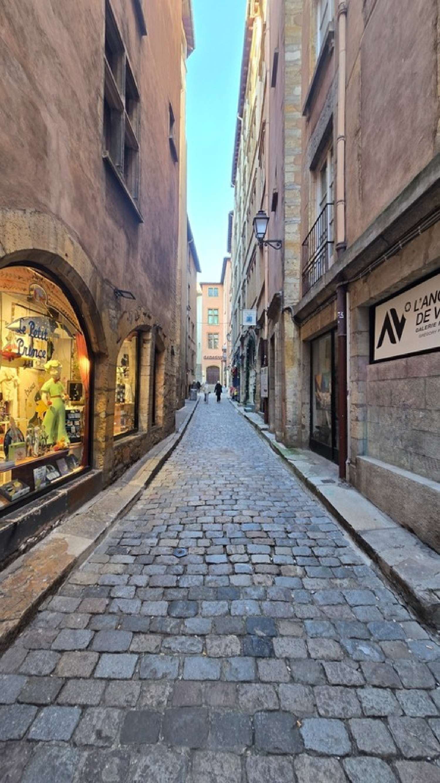 te koop appartement Lyon 5e Arrondissement Rhône 1