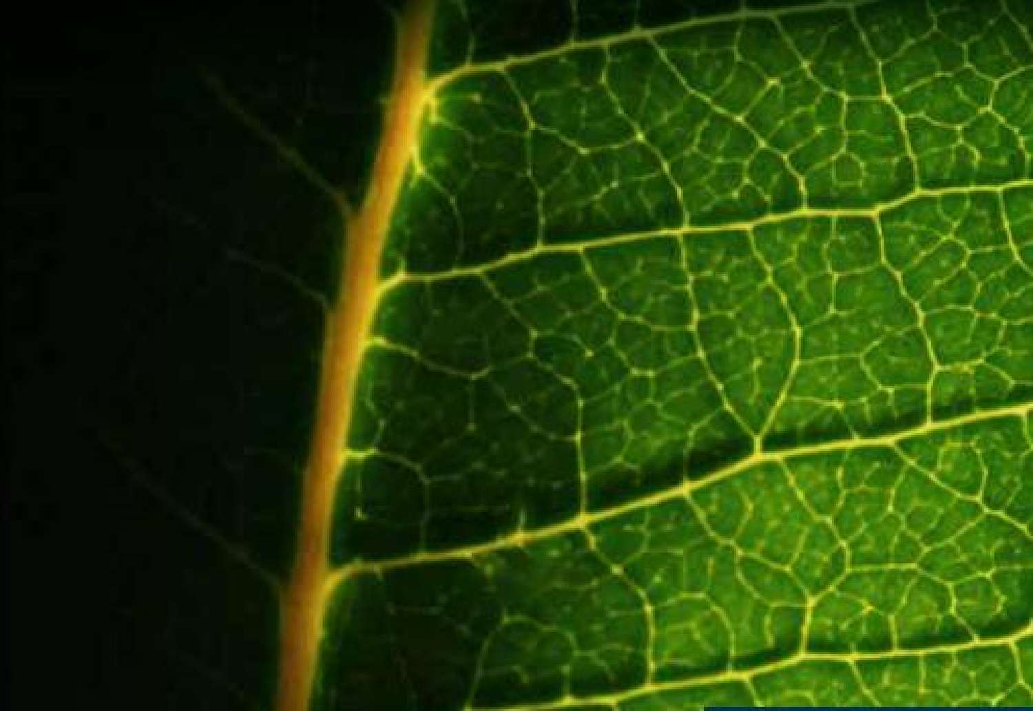  kaufen Wohnung/ Apartment Melesse Ille-et-Vilaine 5