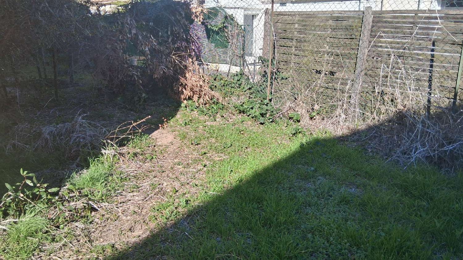 te koop appartement Mèze Hérault 4