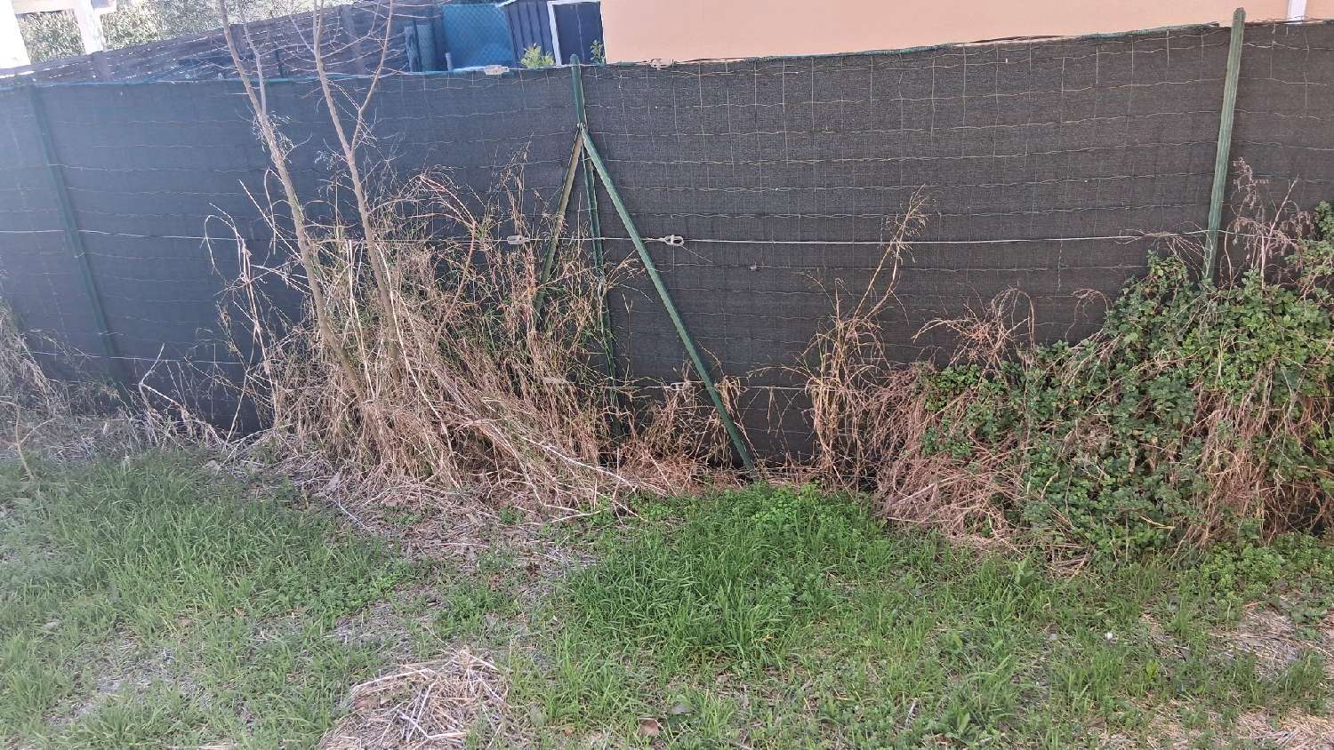 te koop appartement Mèze Hérault 5