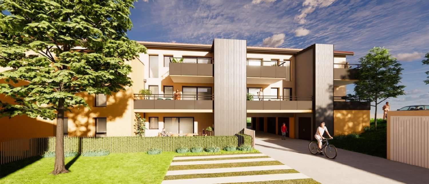 te koop appartement Moidieu-Détourbe Isère 3