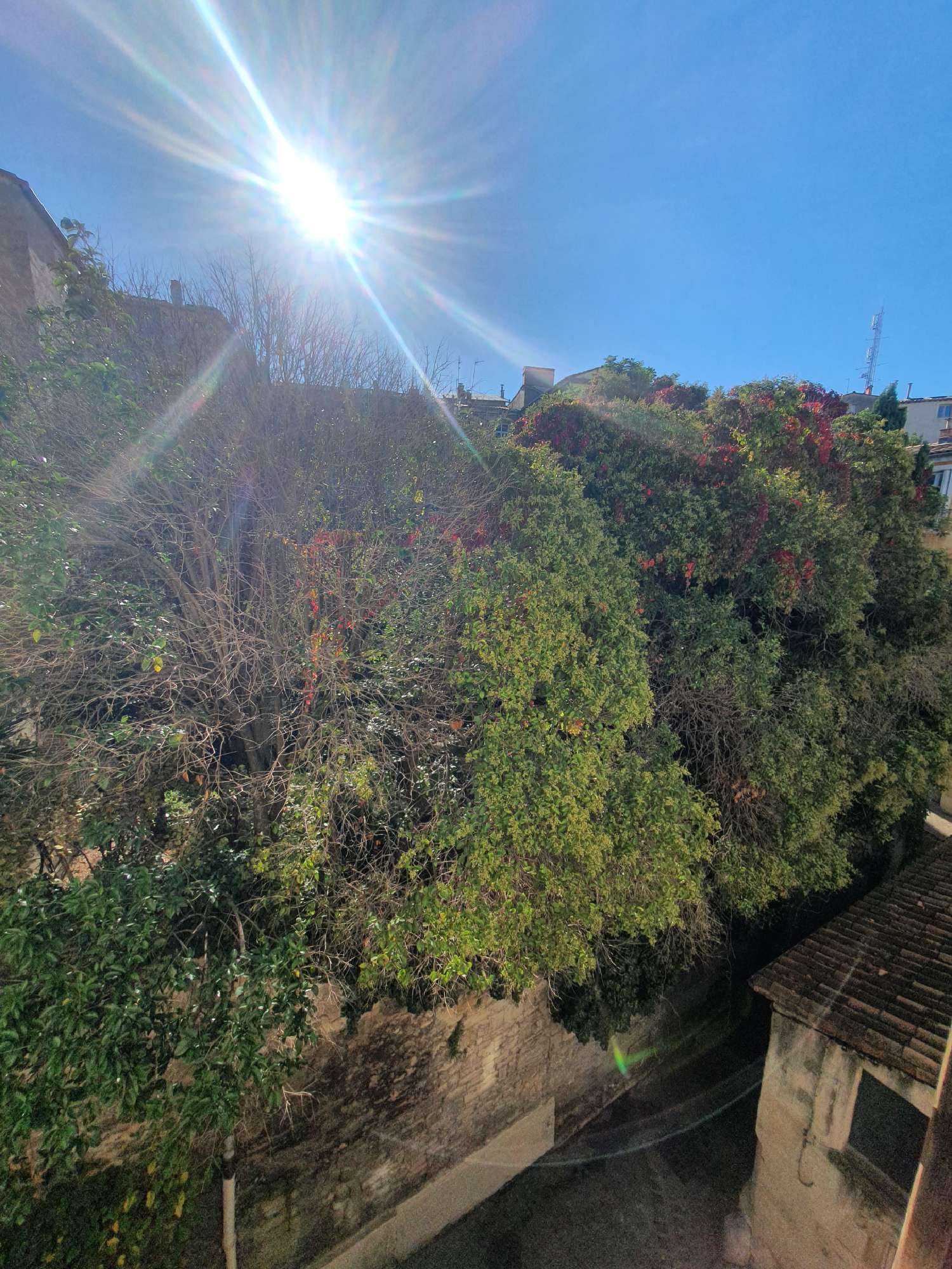 en venta apartamento Montpellier Hérault 2