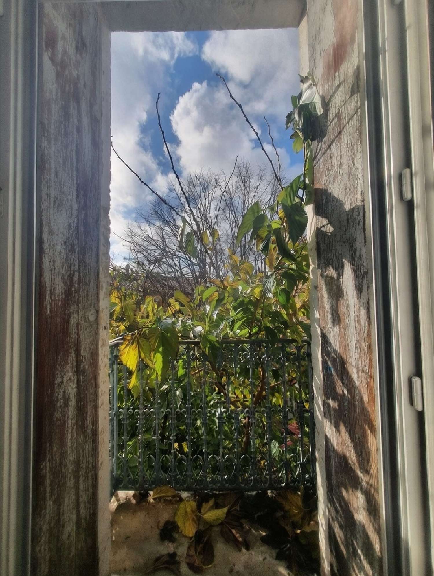  à vendre appartement Montpellier Hérault 5