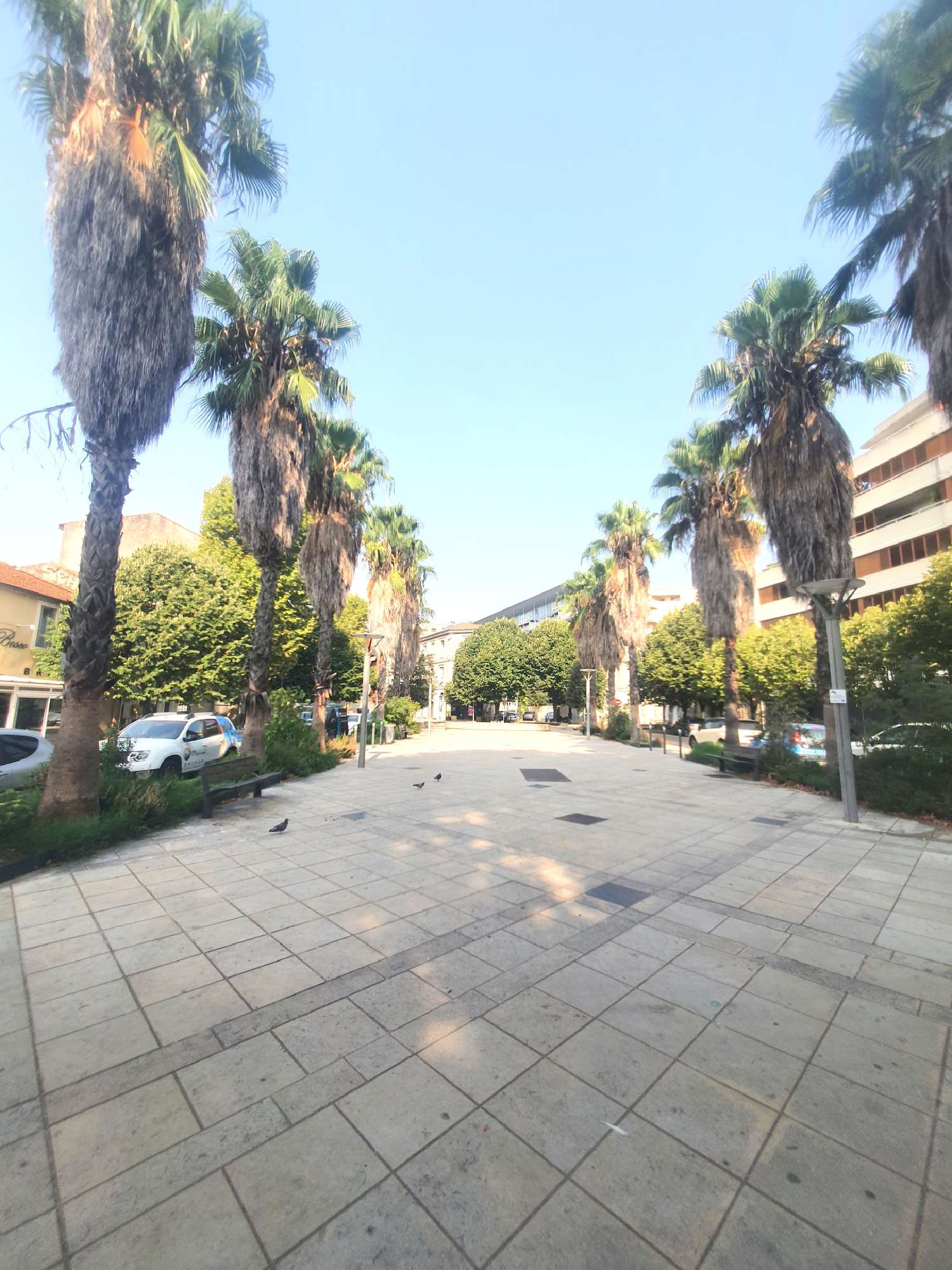 te koop appartement Montpellier Hérault 3