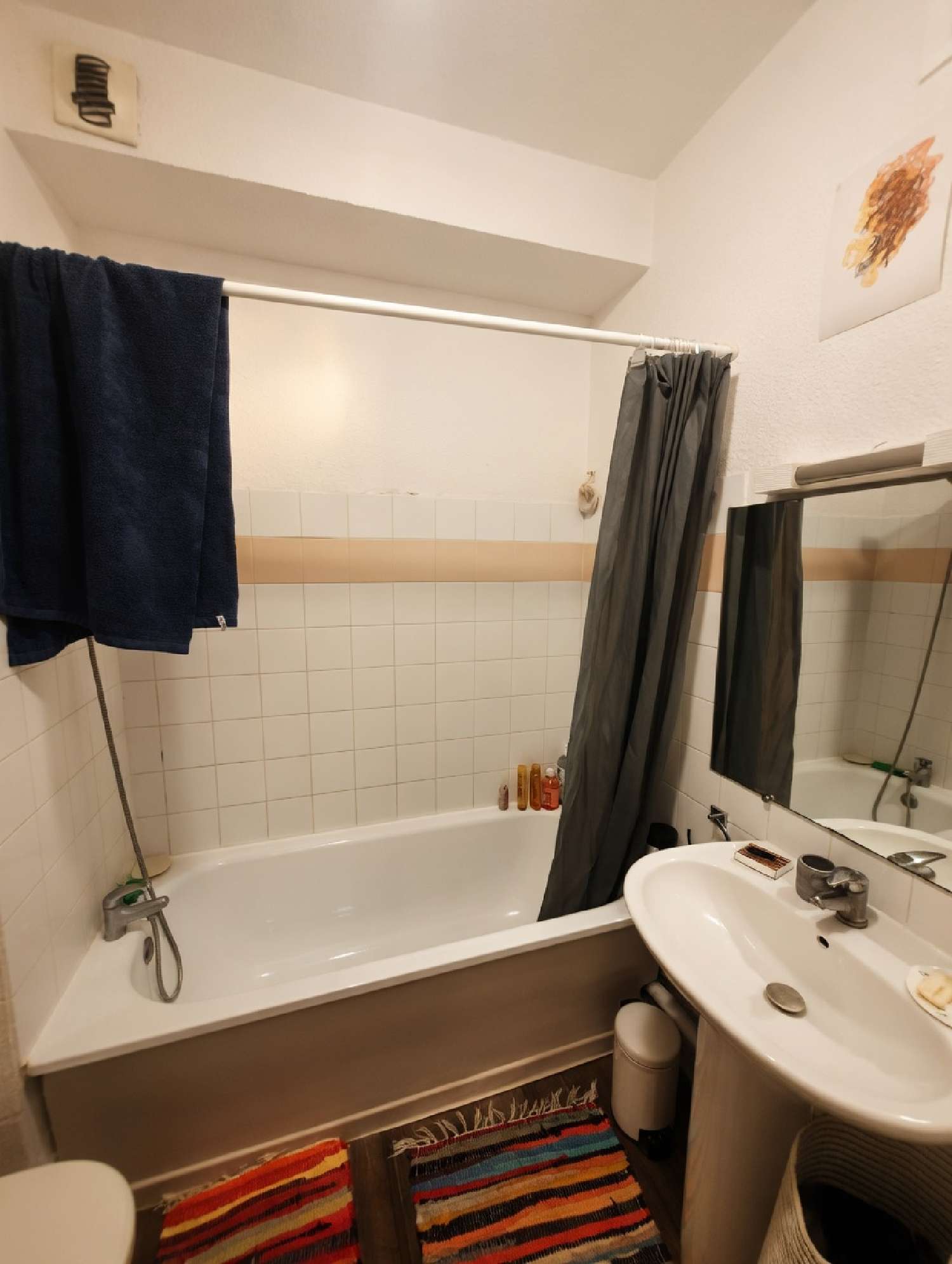 te koop appartement Montpellier 34090 Hérault 2