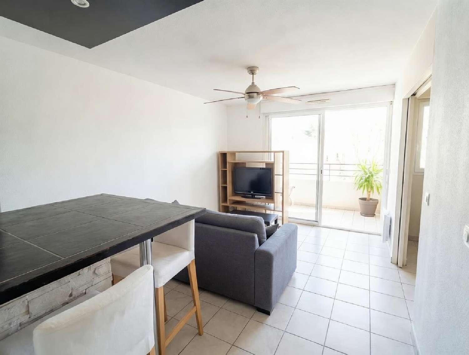  te koop appartement Montpellier Hérault 4