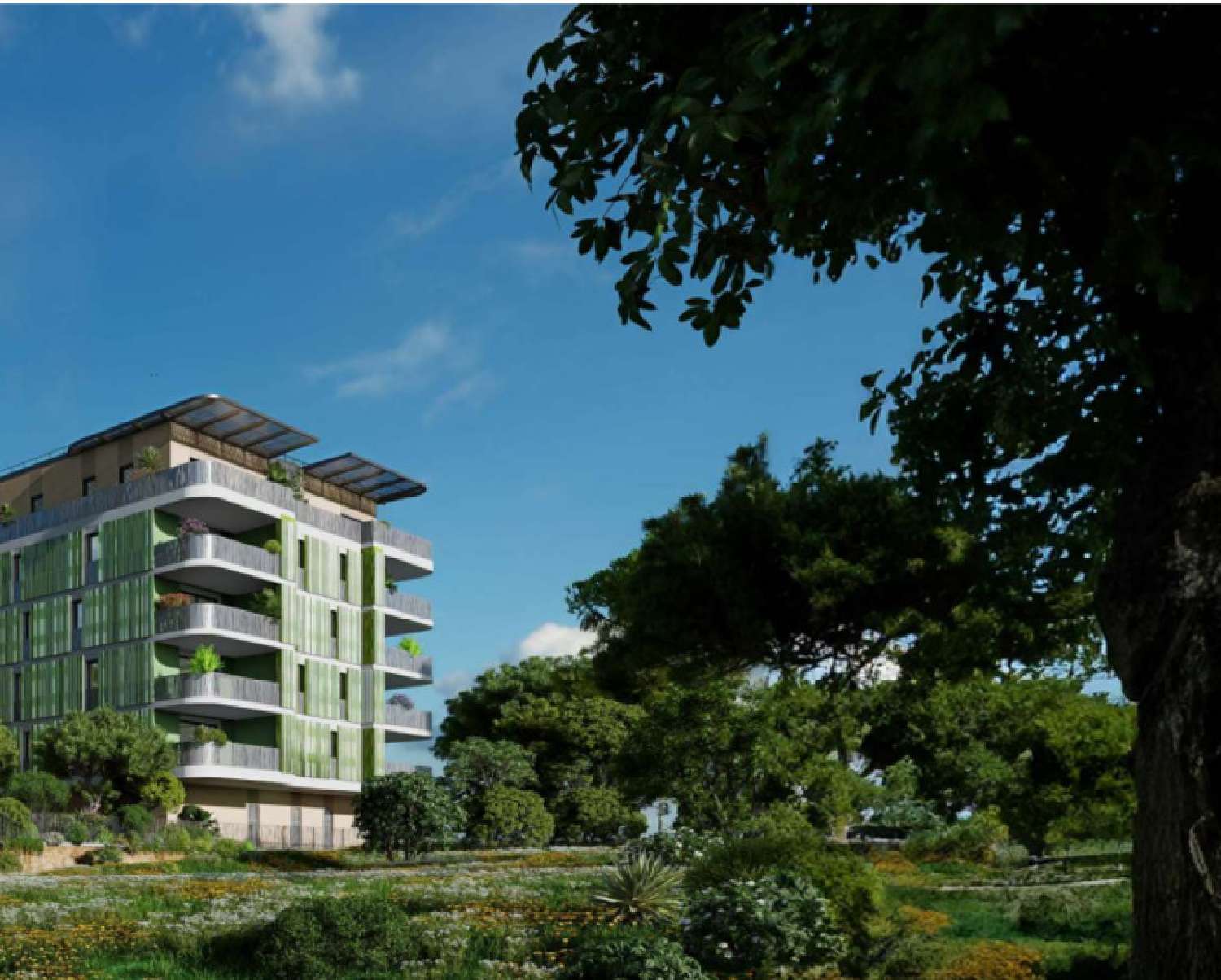  te koop appartement Montpellier Hérault 3