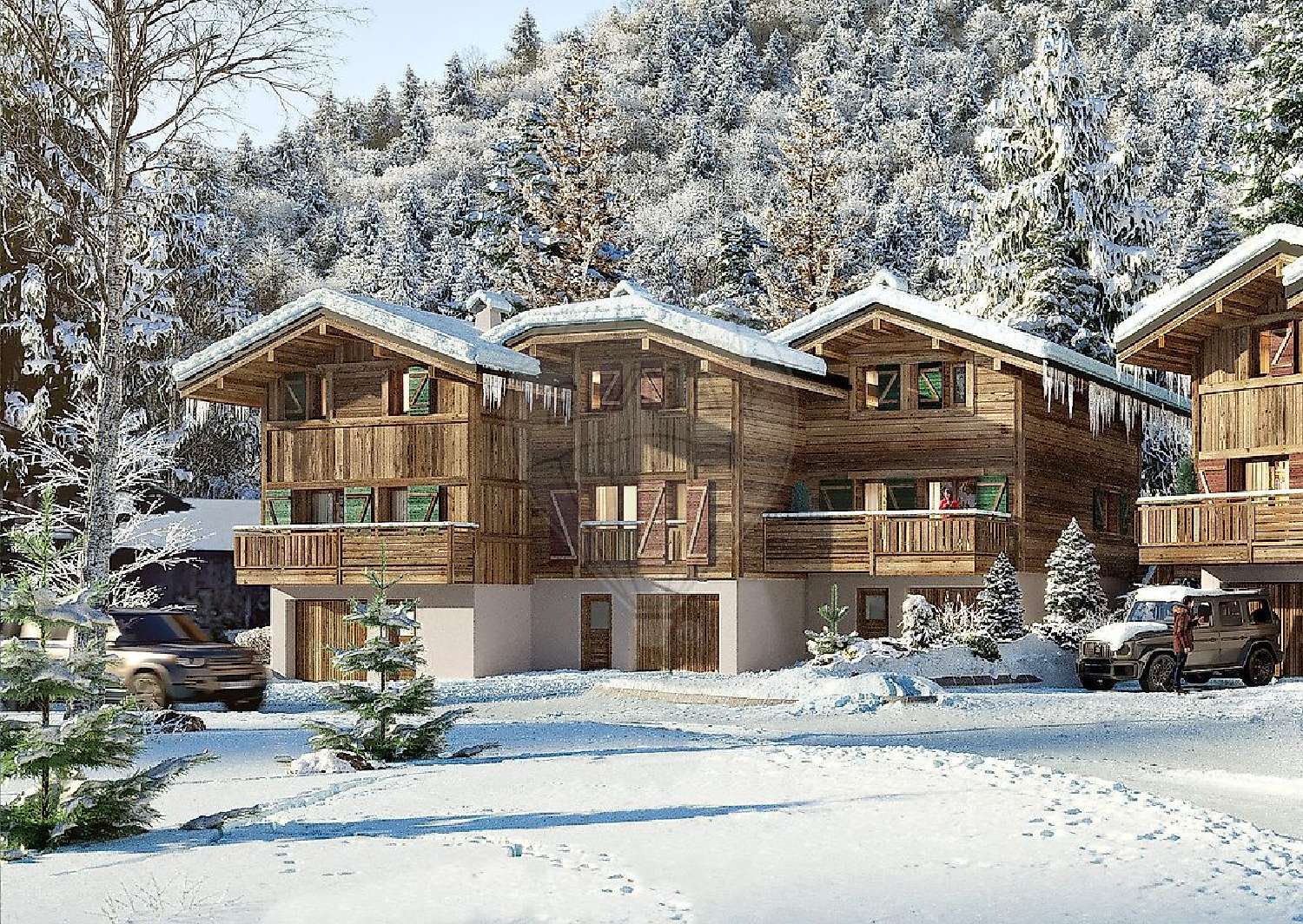  te koop appartement Montriond Haute-Savoie 8