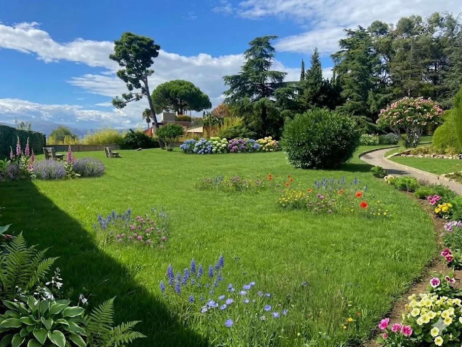 à vendre appartement Nice Alpes-Maritimes 6