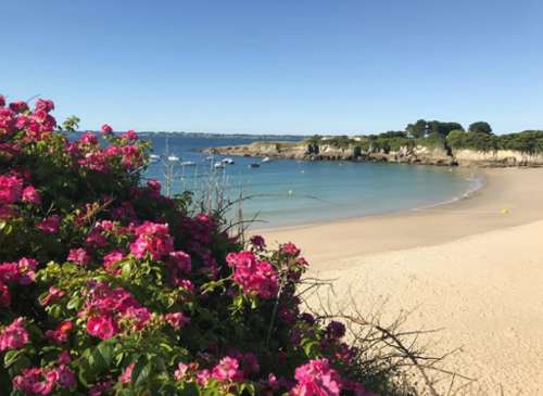 Ploemeur Morbihan appartement foto 7295464