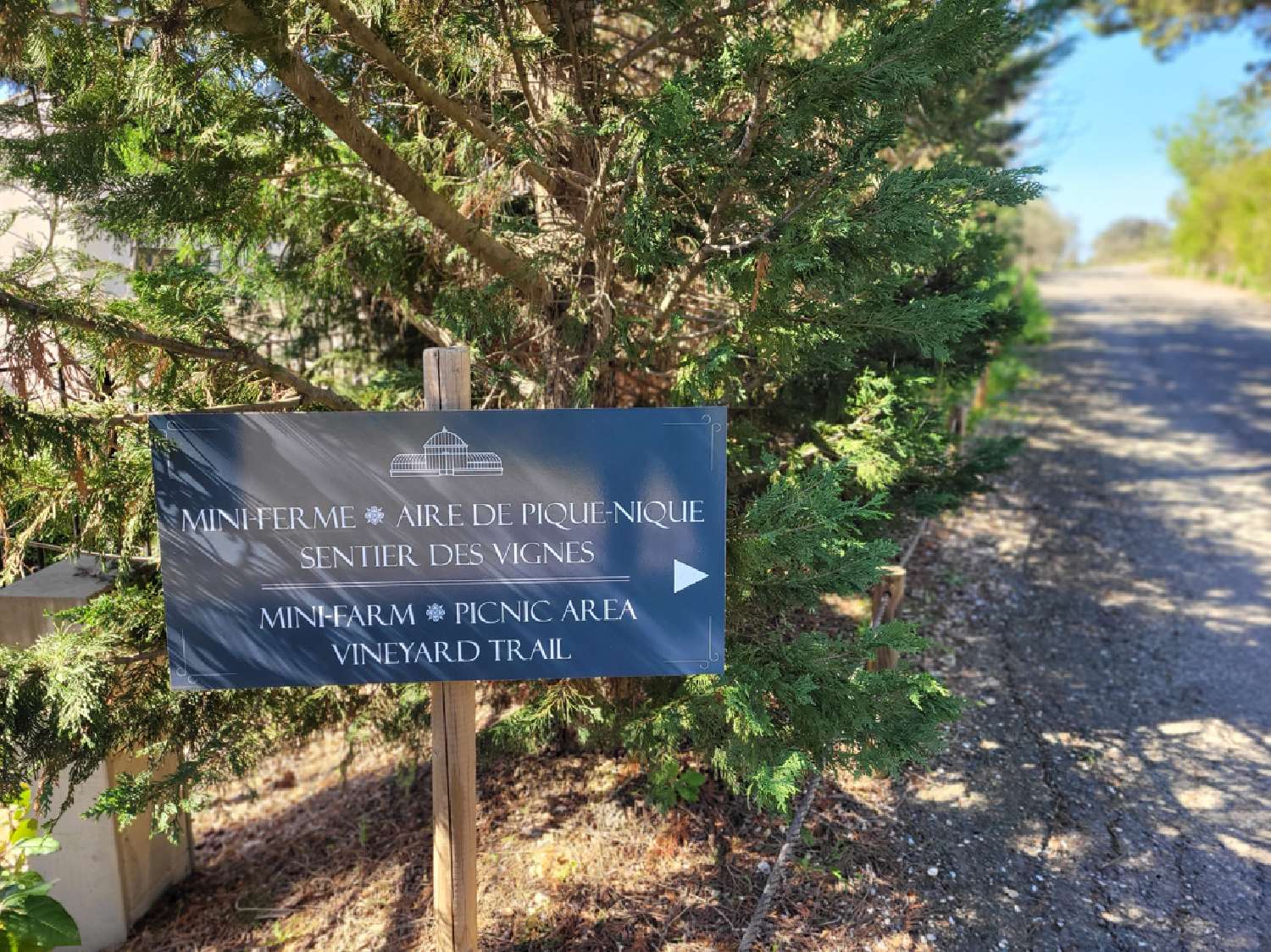  te koop appartement Poilhès Hérault 3