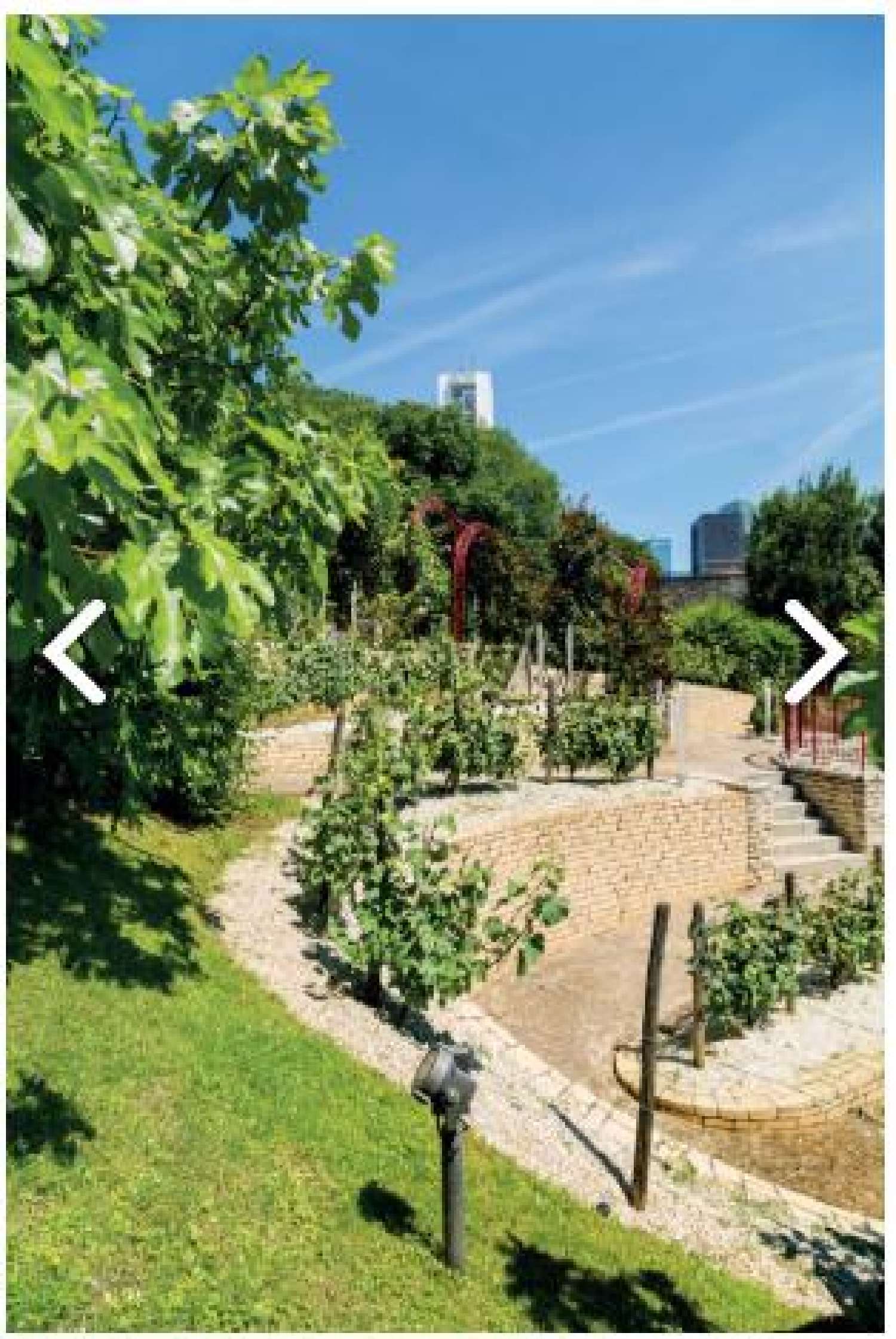  en venta apartamento Puteaux Hauts-de-Seine 1