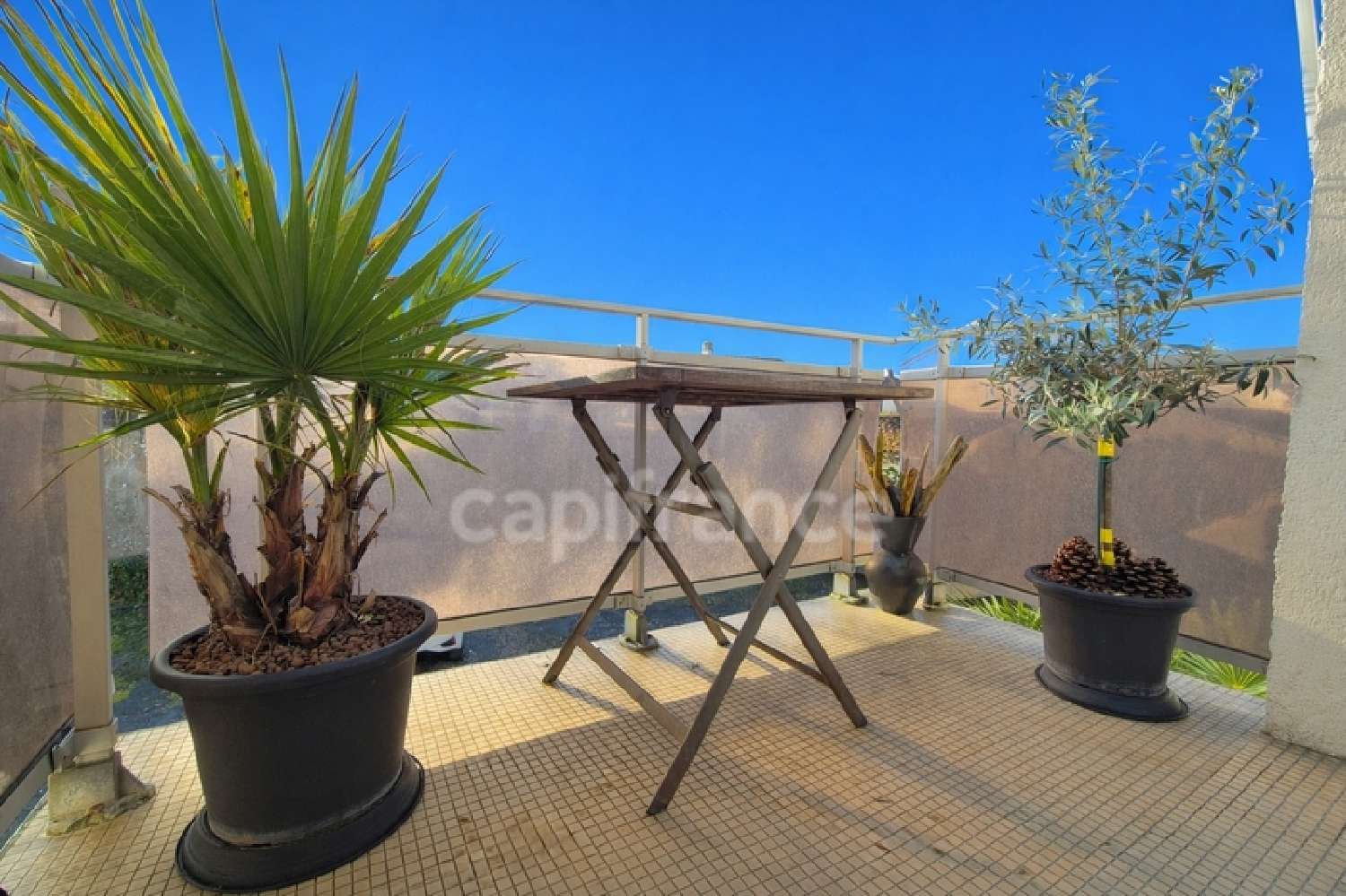  te koop appartement Royan Charente-Maritime 1