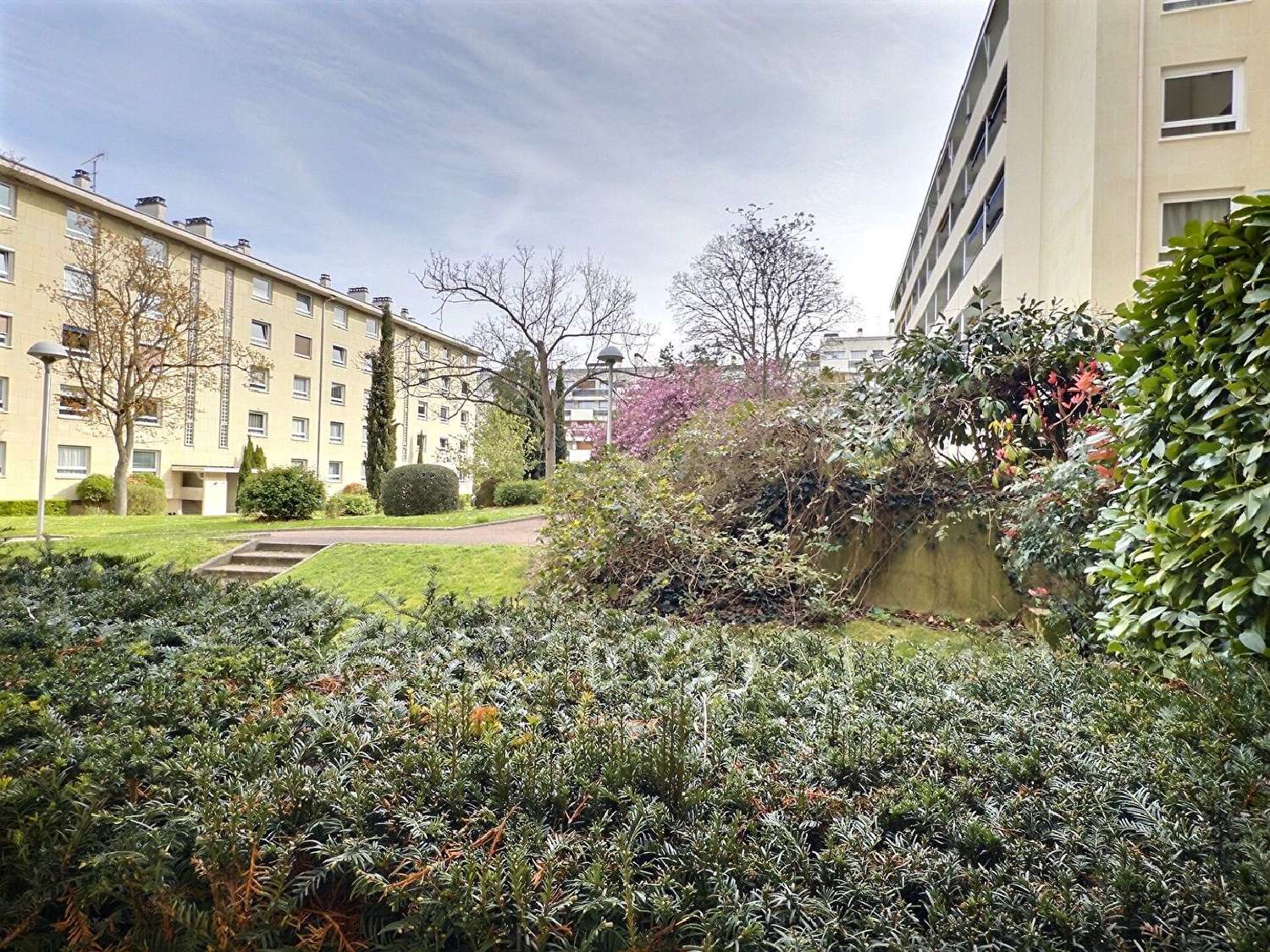  te koop appartement Saint-Cloud Hauts-de-Seine 1