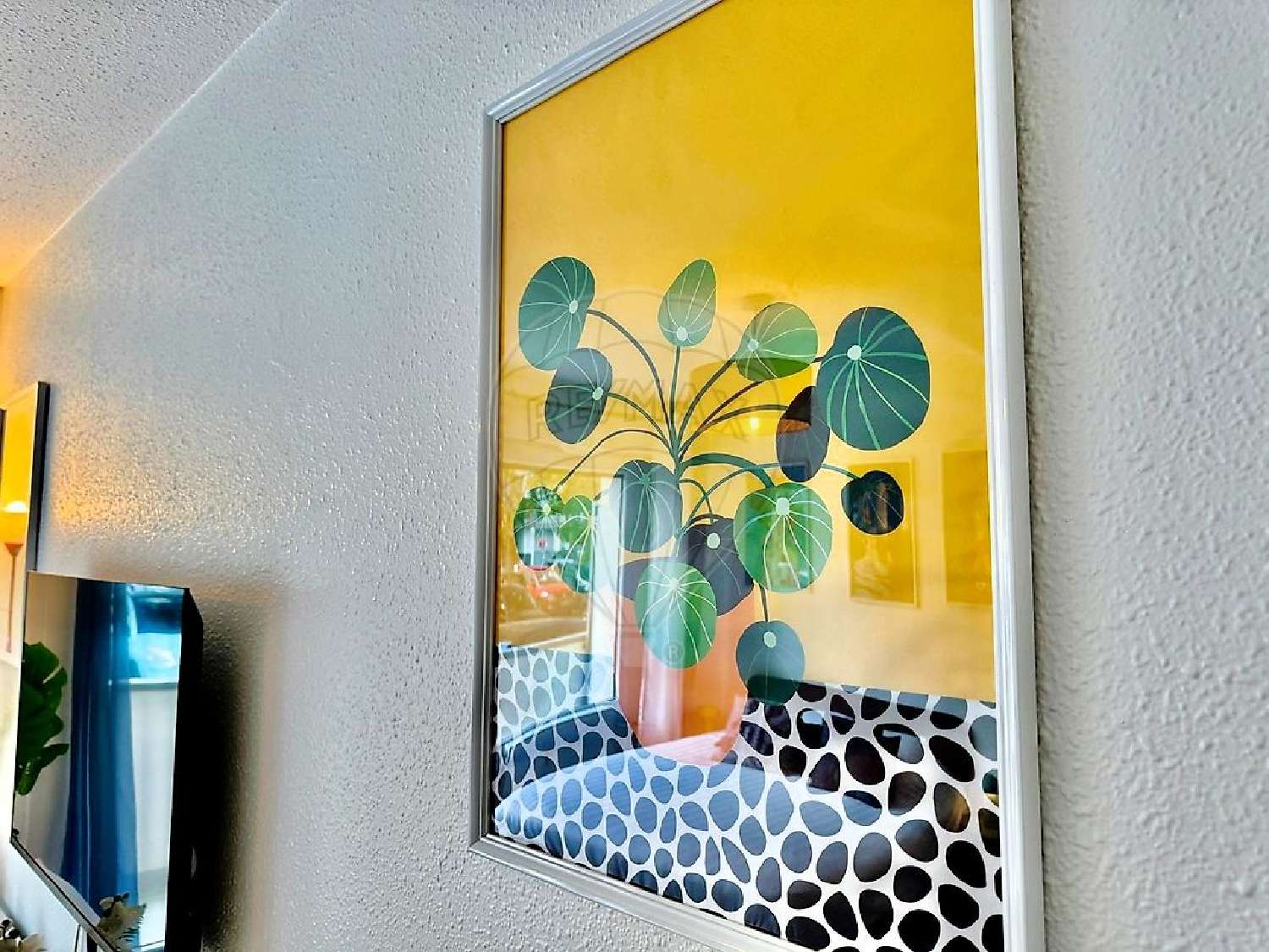  te koop appartement Saint-Julien-en-Genevois Haute-Savoie 6