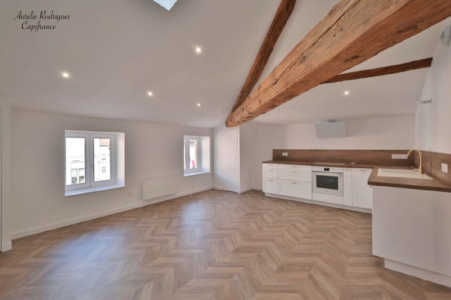  te koop appartement Saint-Laurent-sur-Saône Ain 1