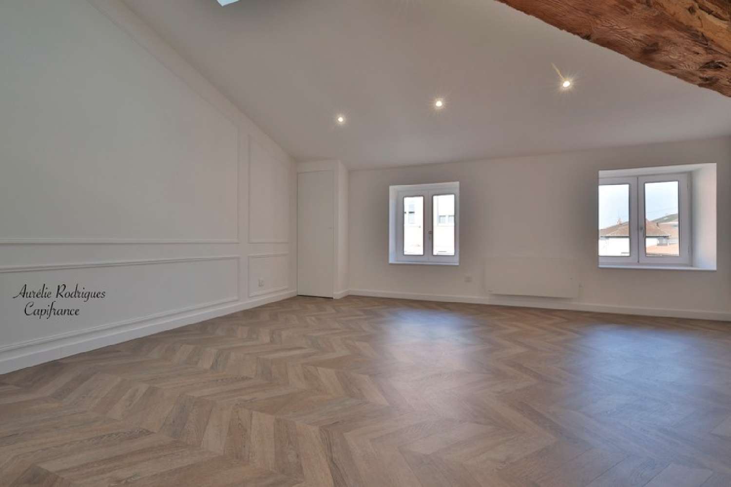  te koop appartement Saint-Laurent-sur-Saône Ain 3