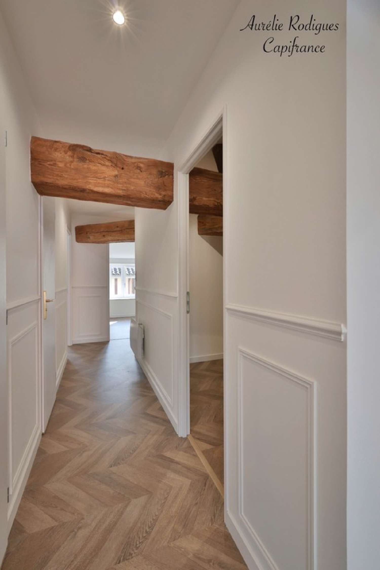  te koop appartement Saint-Laurent-sur-Saône Ain 4