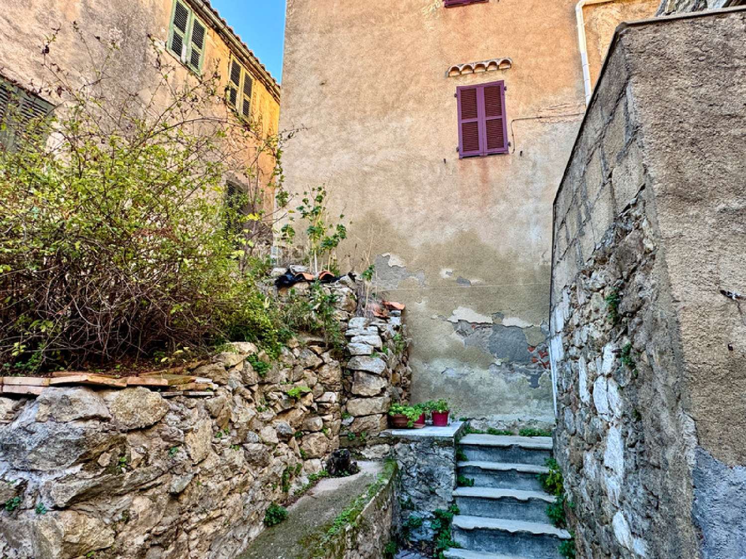  te koop appartement Speloncato Haute-Corse 8