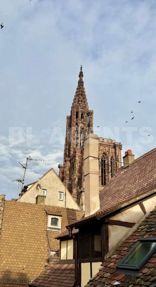 Strasbourg Bas-Rhin apartment foto 7286545