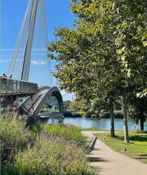 Strasbourg Bas-Rhin appartement foto 7274963