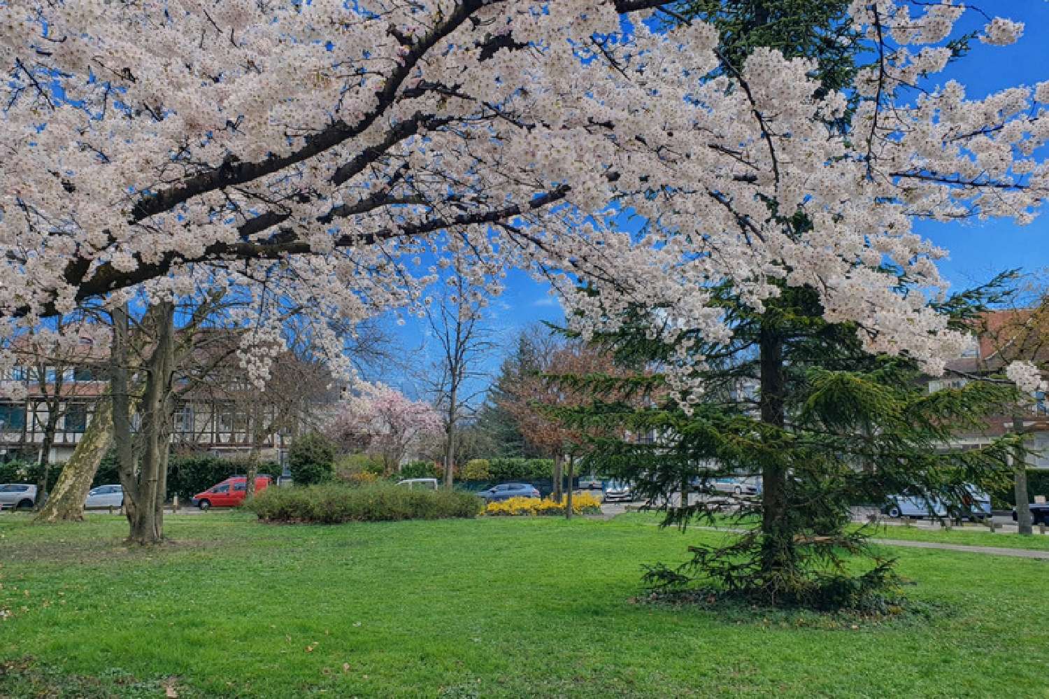  kaufen Wohnung/ Apartment Strasbourg Bas-Rhin 1