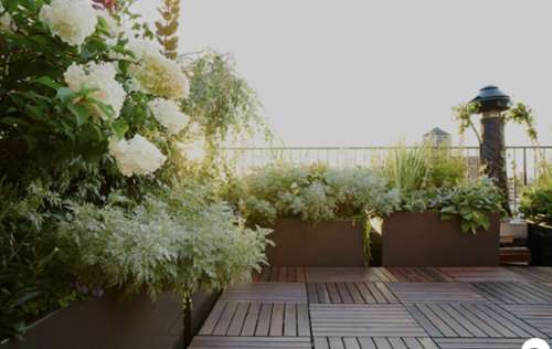 Tassin-la-Demi-Lune Rhône appartement foto 7281626