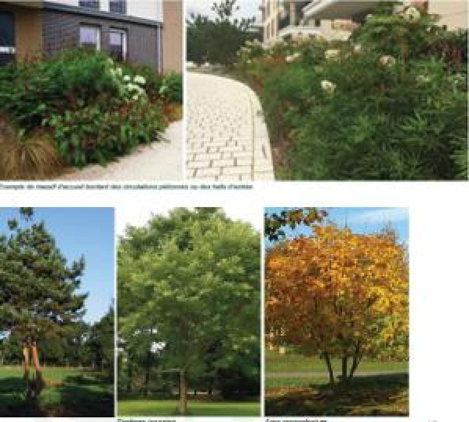 te koop appartement Thiais Val-de-Marne 1