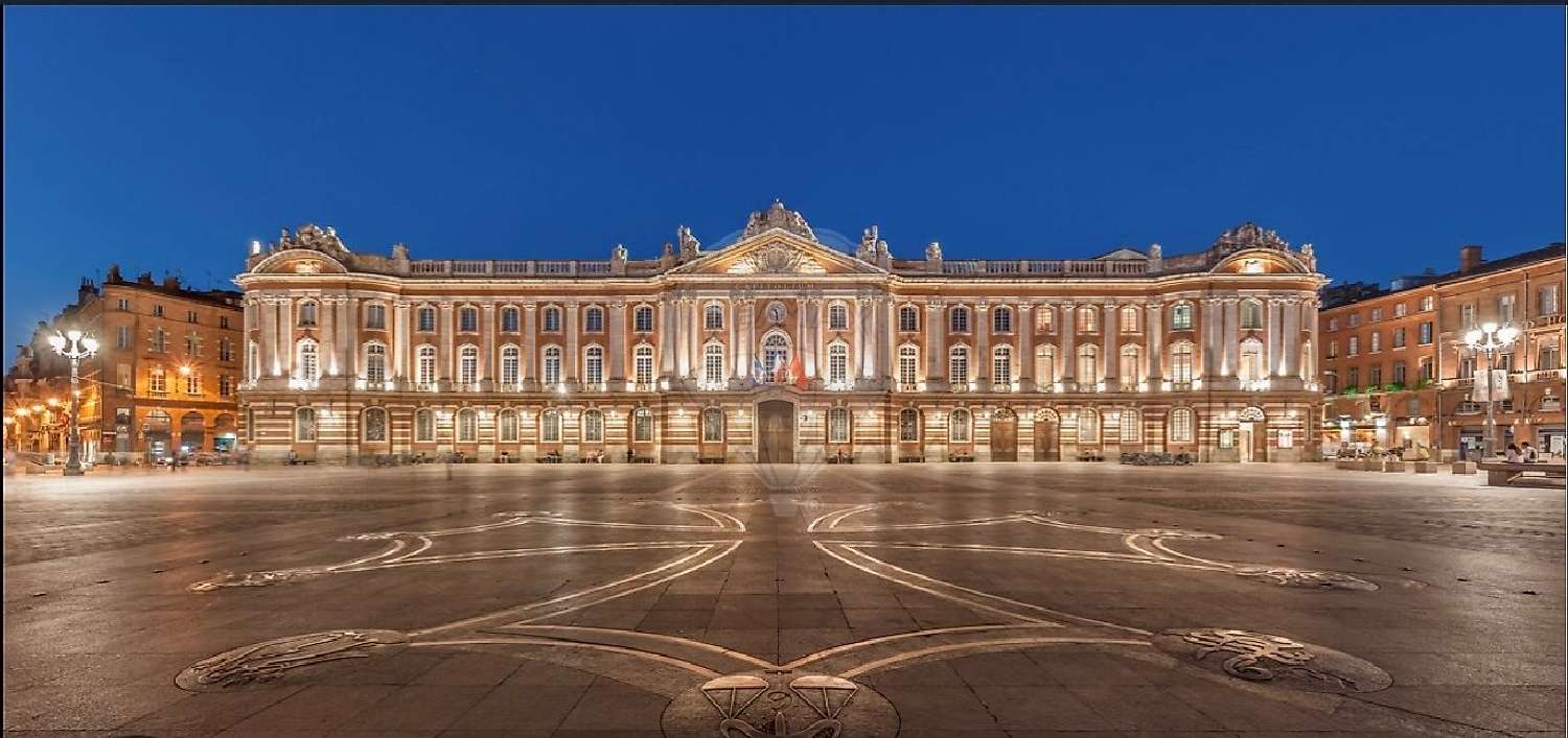  à vendre appartement Toulouse Haute-Garonne 1