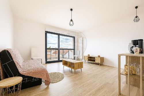 Troyes Aube Wohnung/ Apartment Bild 7271197