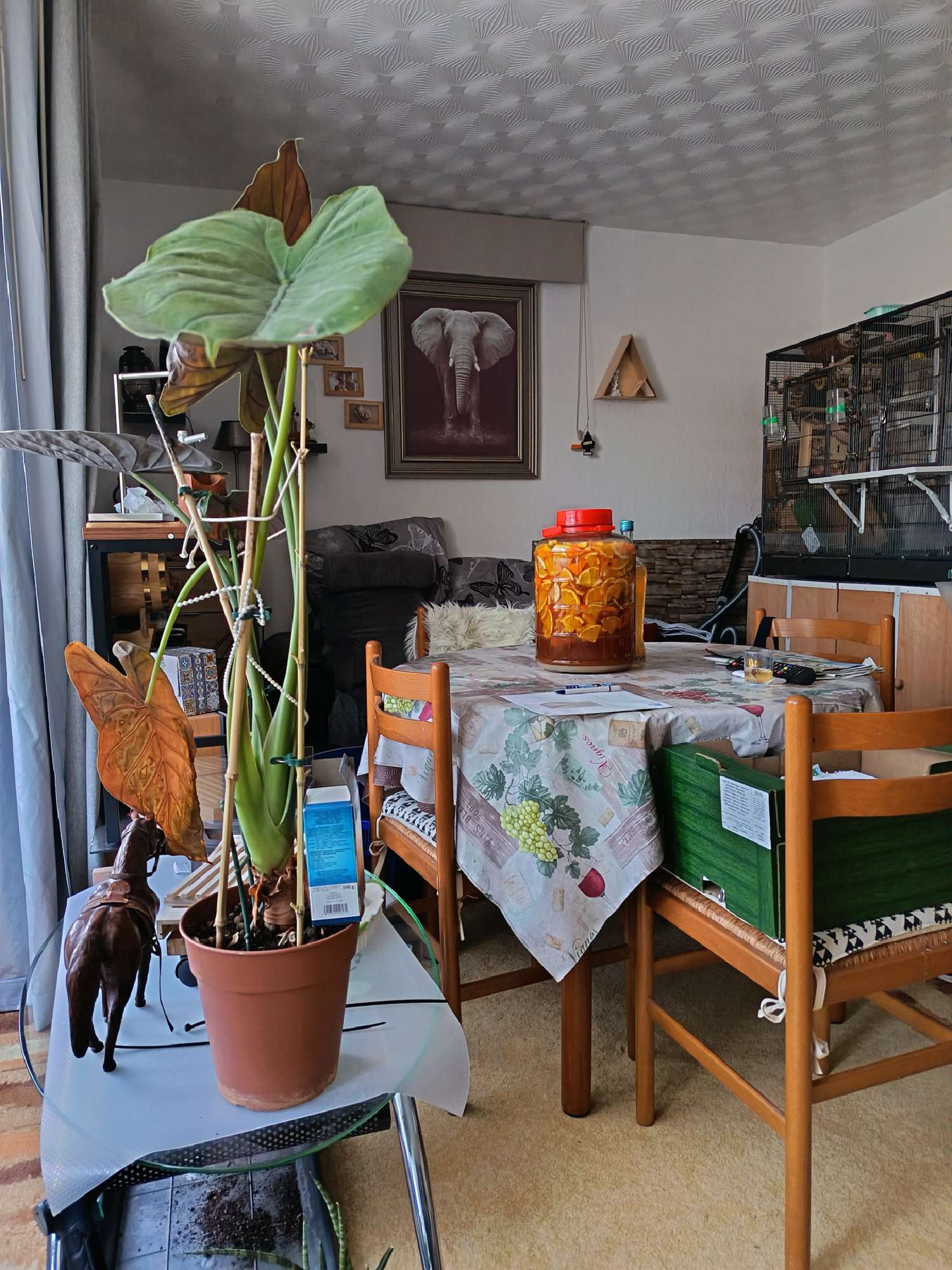 te koop appartement Vesoul Haute-Saône 4