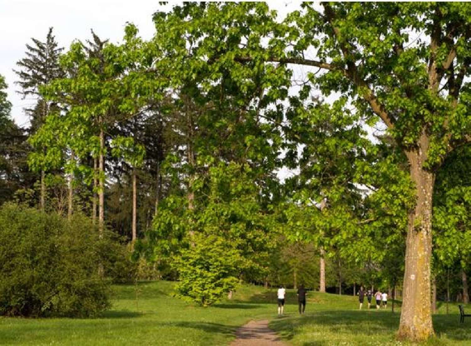  te koop appartement Vichy Allier 1