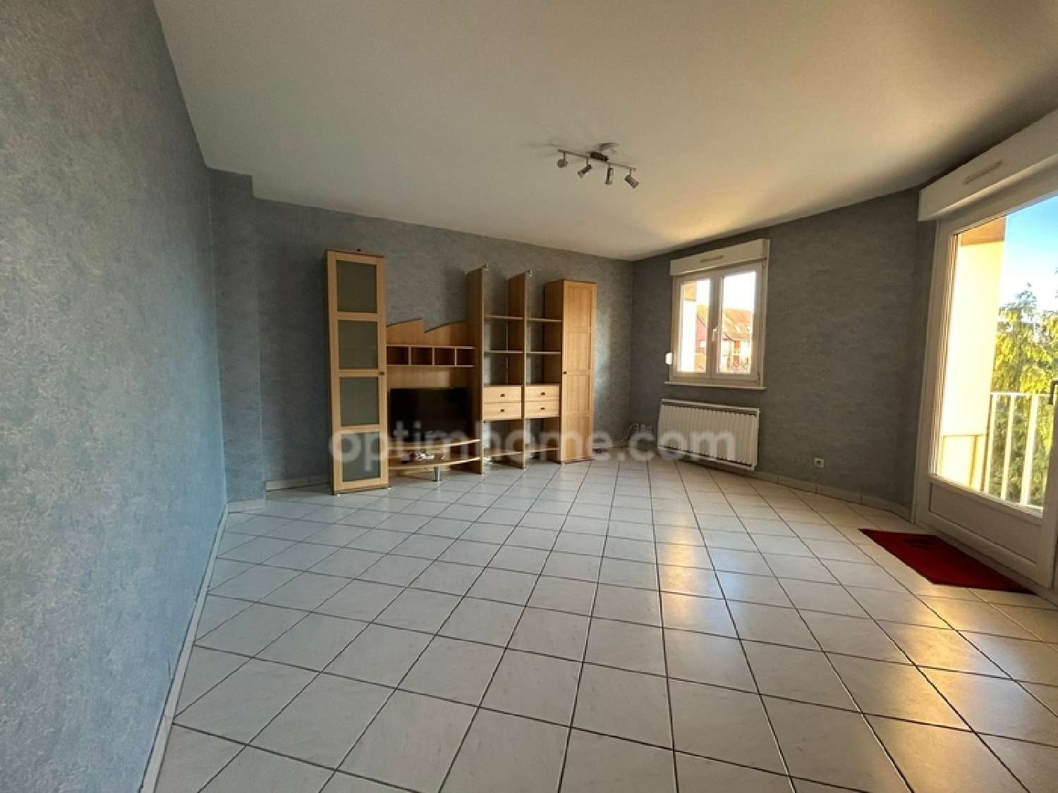  à vendre appartement Village-Neuf Haut-Rhin 3