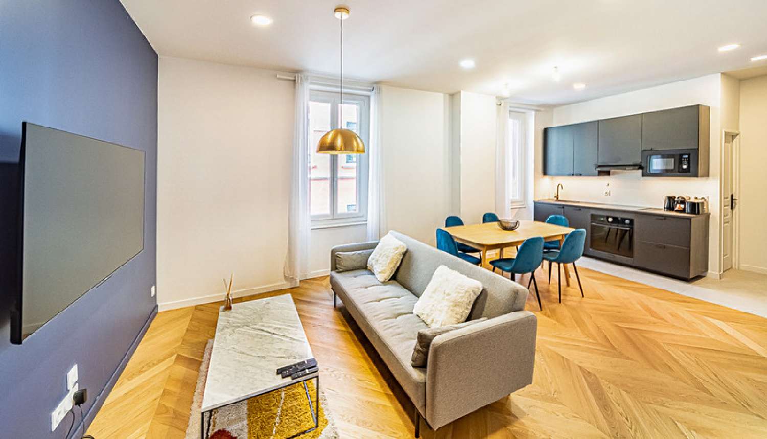 te koop appartement Villeurbanne Rhône 3