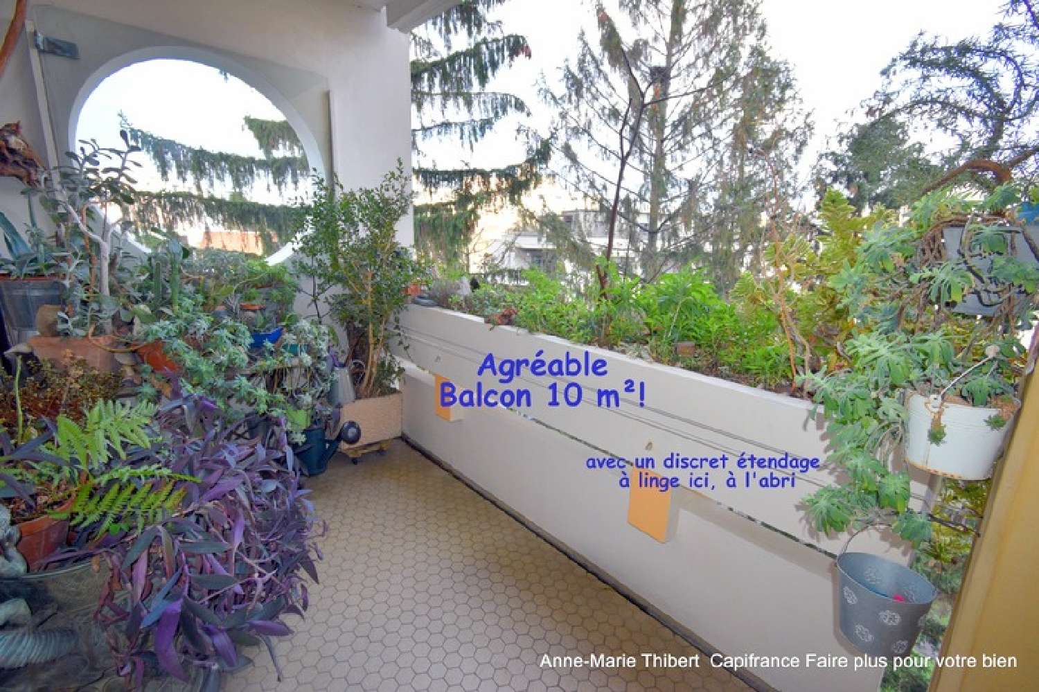  te koop appartement Villeurbanne Rhône 1