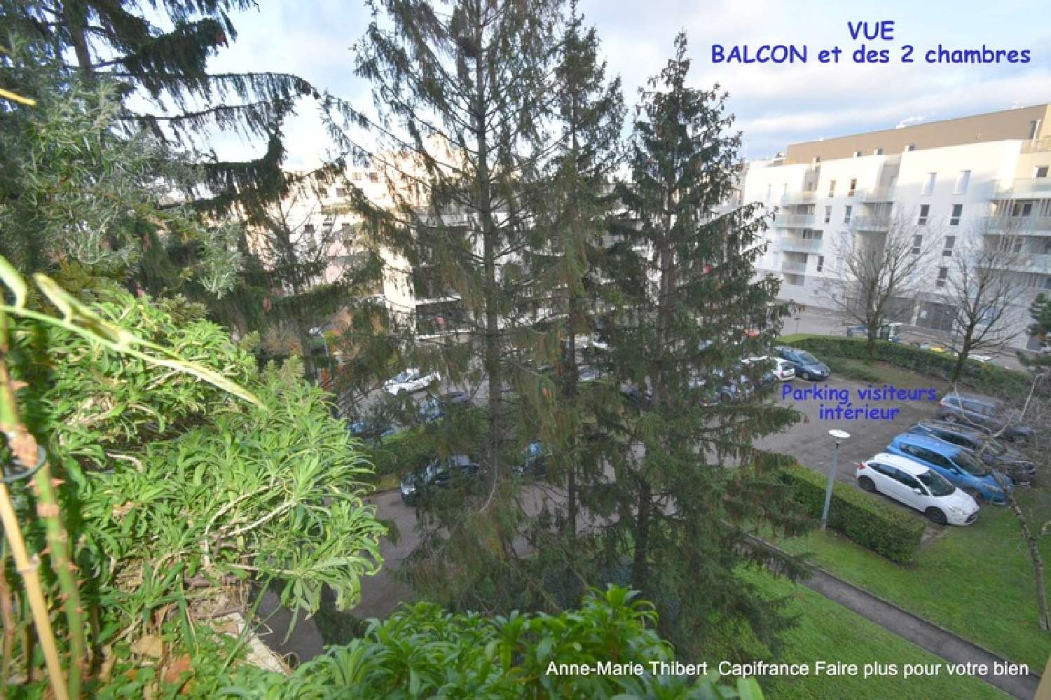  te koop appartement Villeurbanne Rhône 3