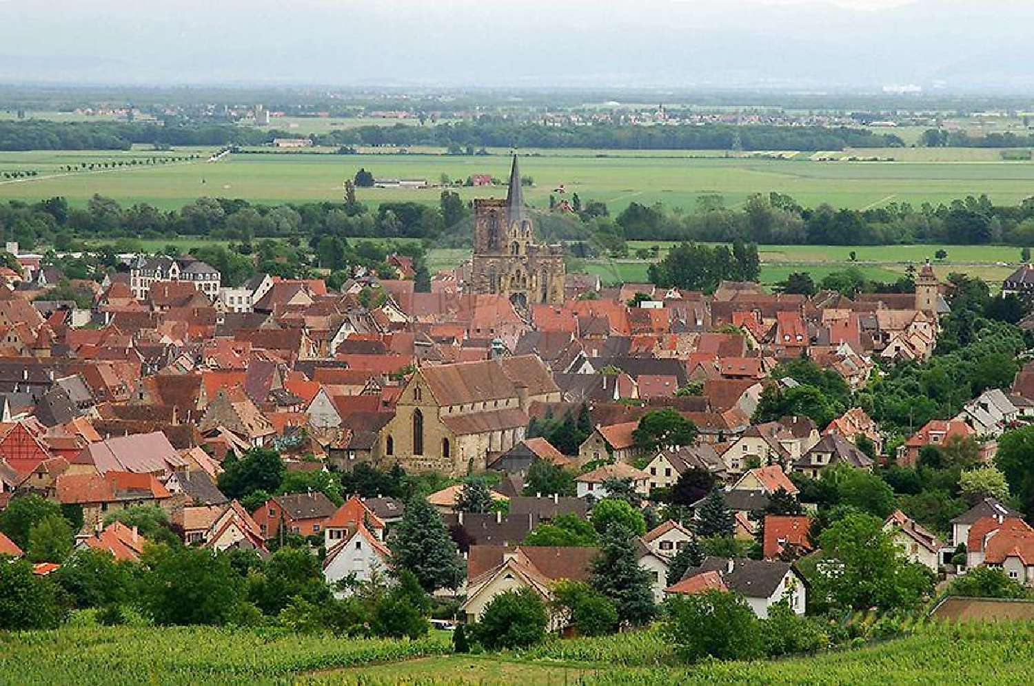  kaufen Kneipe/ Bar Rouffach Haut-Rhin 1