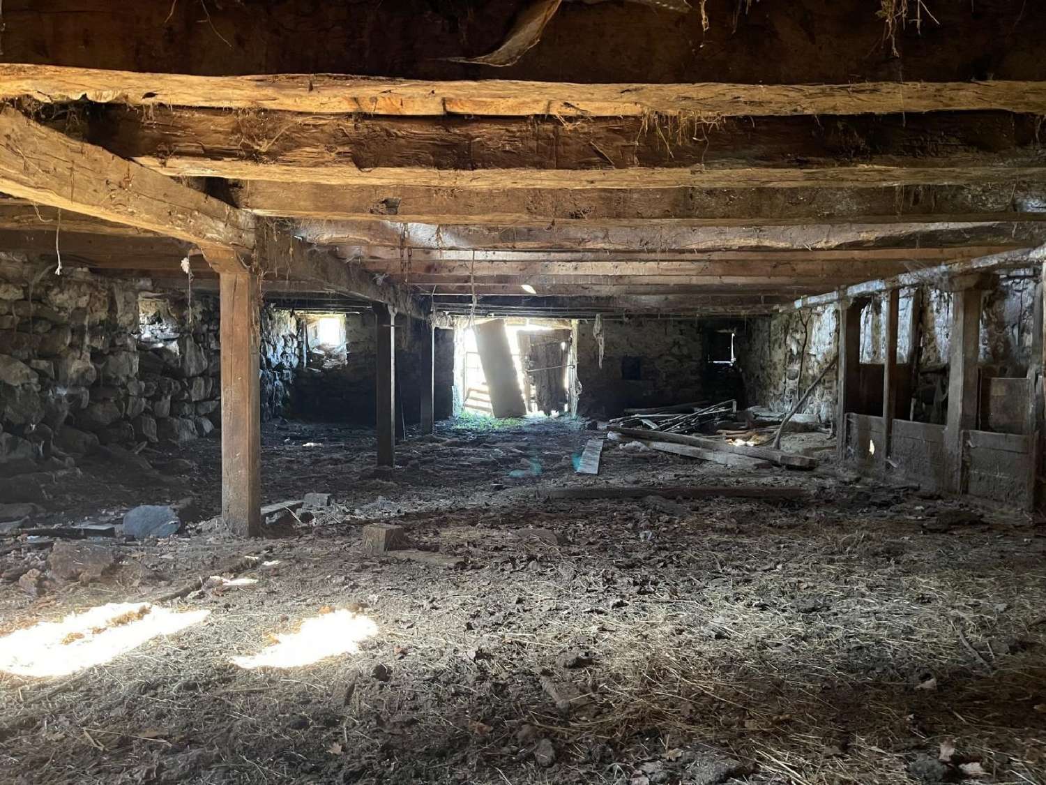  kaufen Scheune Anglards-de-Salers Cantal 4