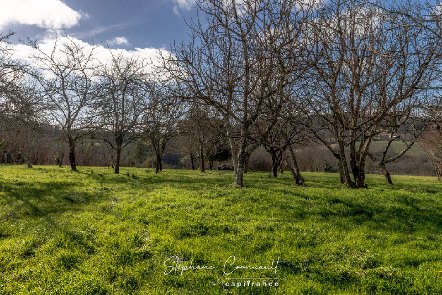  for sale barn Douchapt Dordogne 3