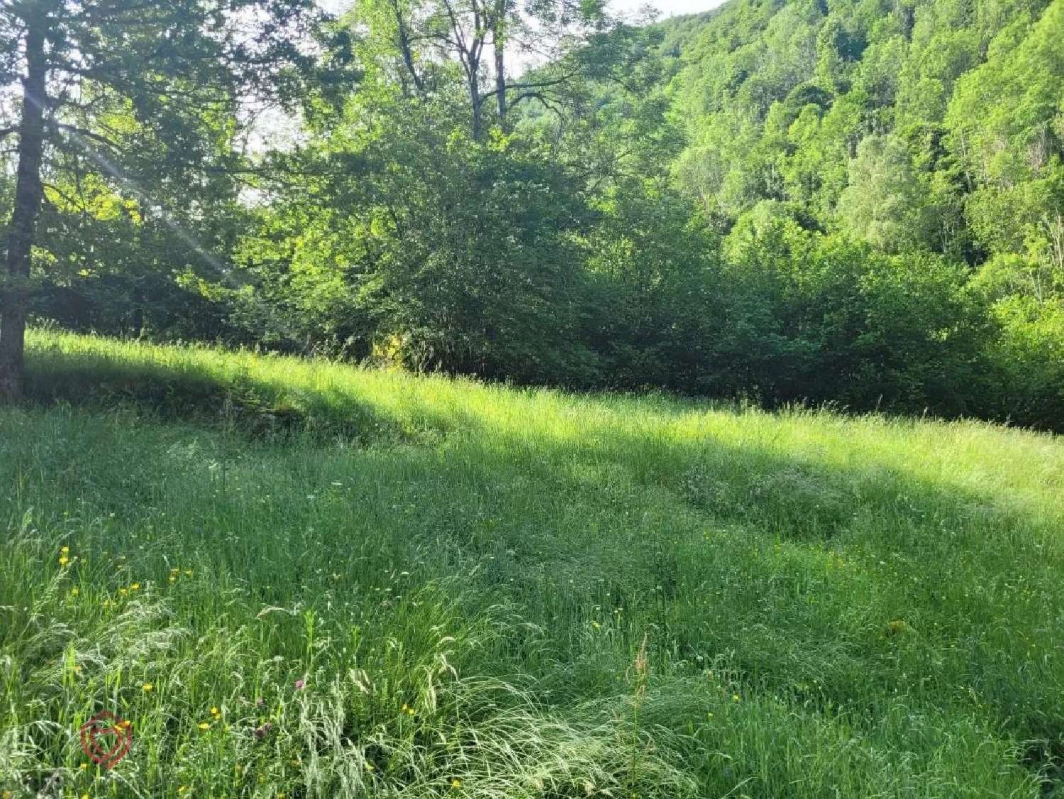  à vendre grange Le Port Ariège 8