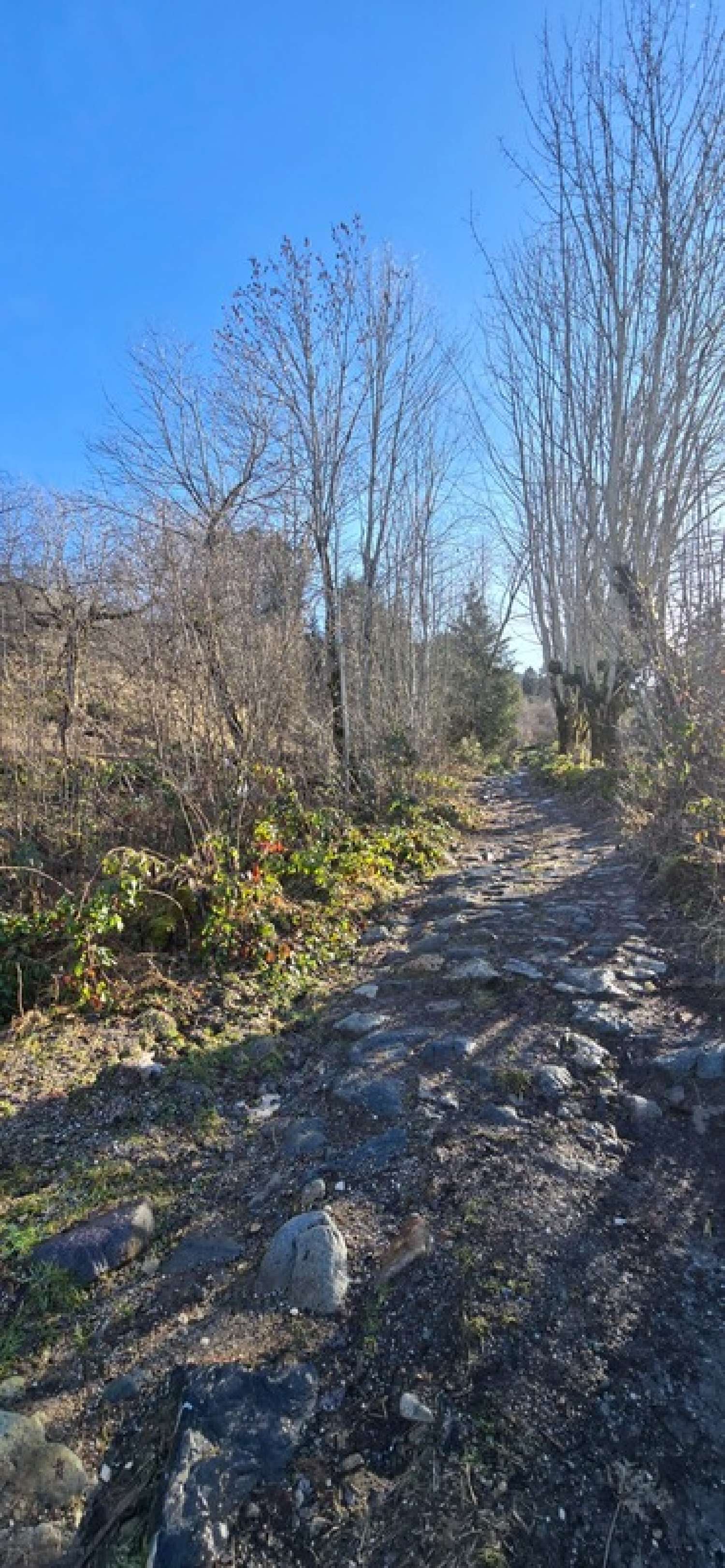 for sale barn Theys Isère 6