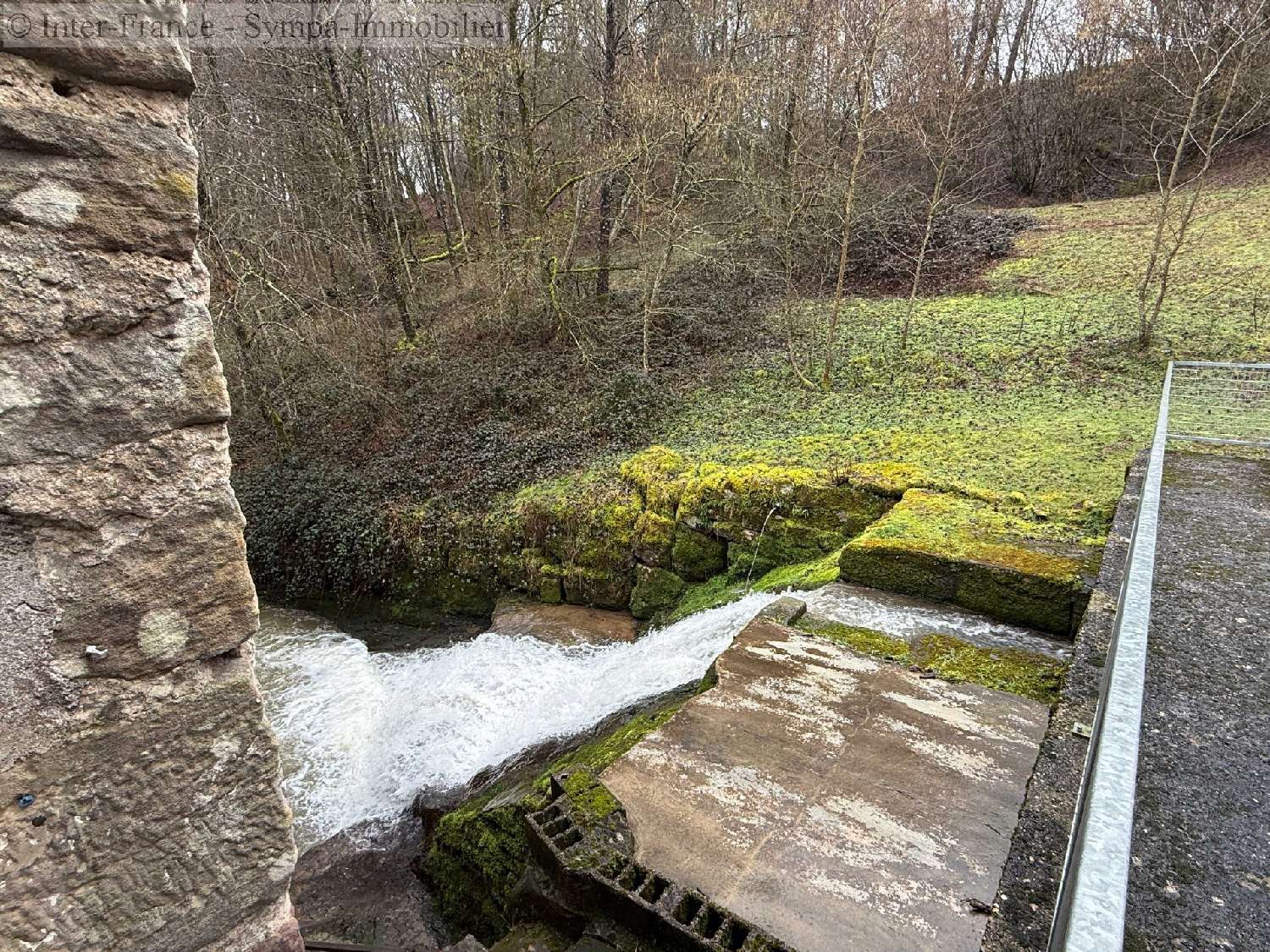  for sale bed and breakfast Lerrain Vosges 10