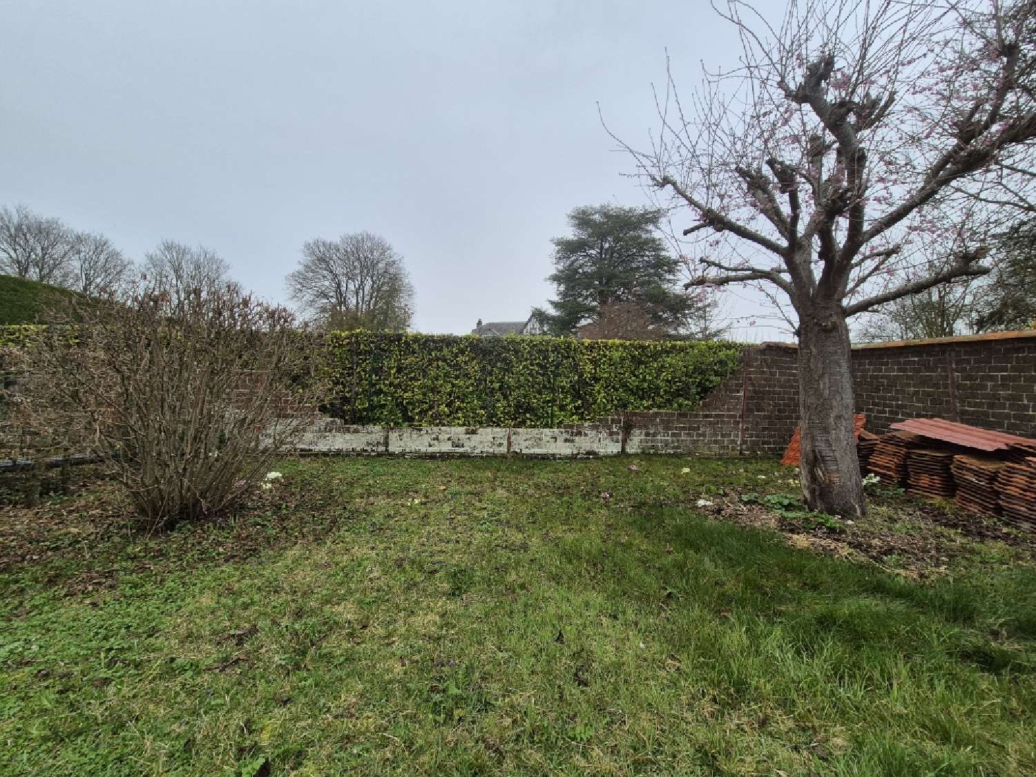 for sale building Neufchâtel-en-Bray Seine-Maritime 2