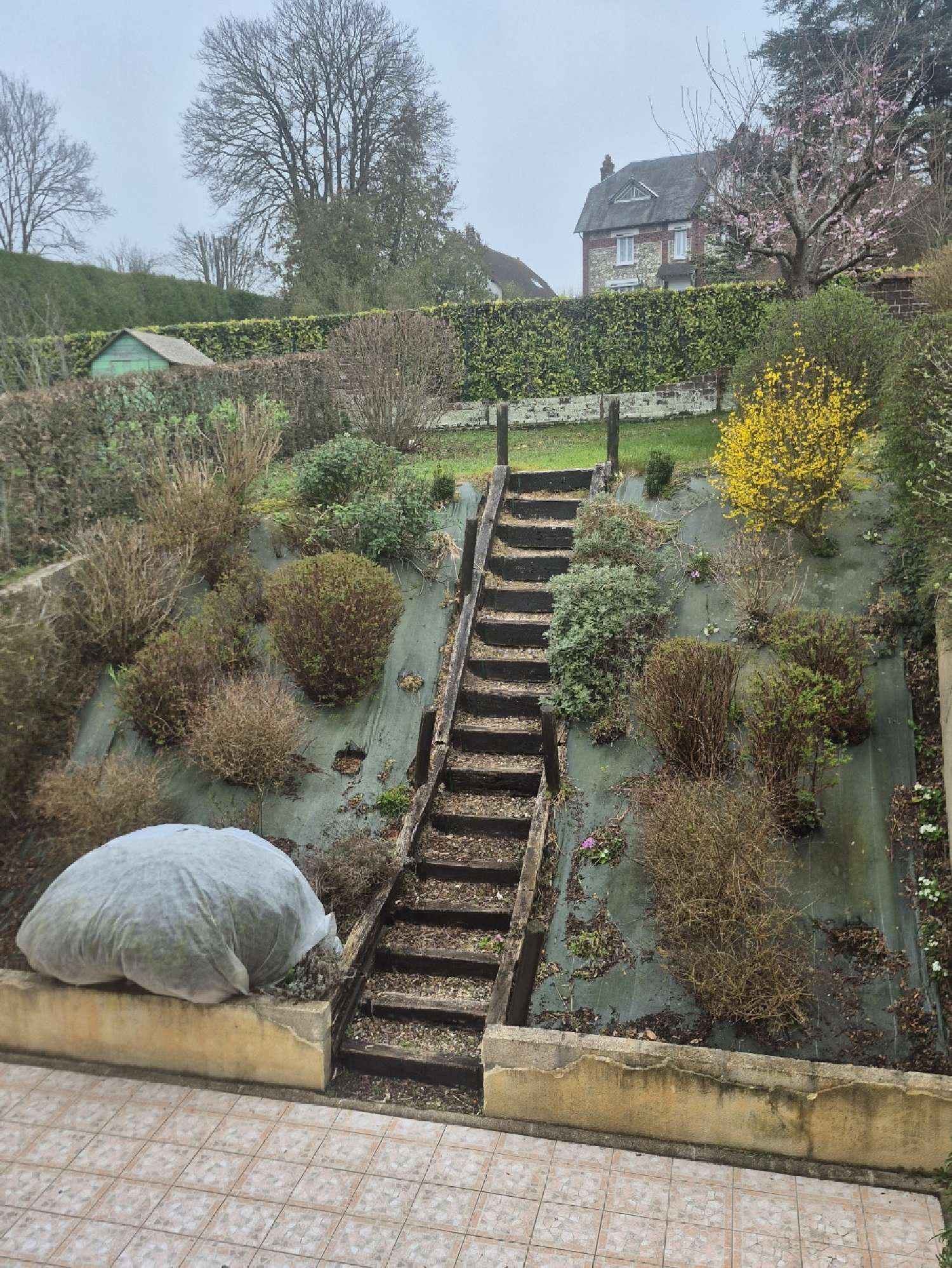 for sale building Neufchâtel-en-Bray Seine-Maritime 3