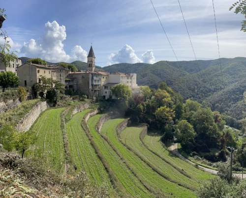 Nîmes Gard edificio foto 7289850