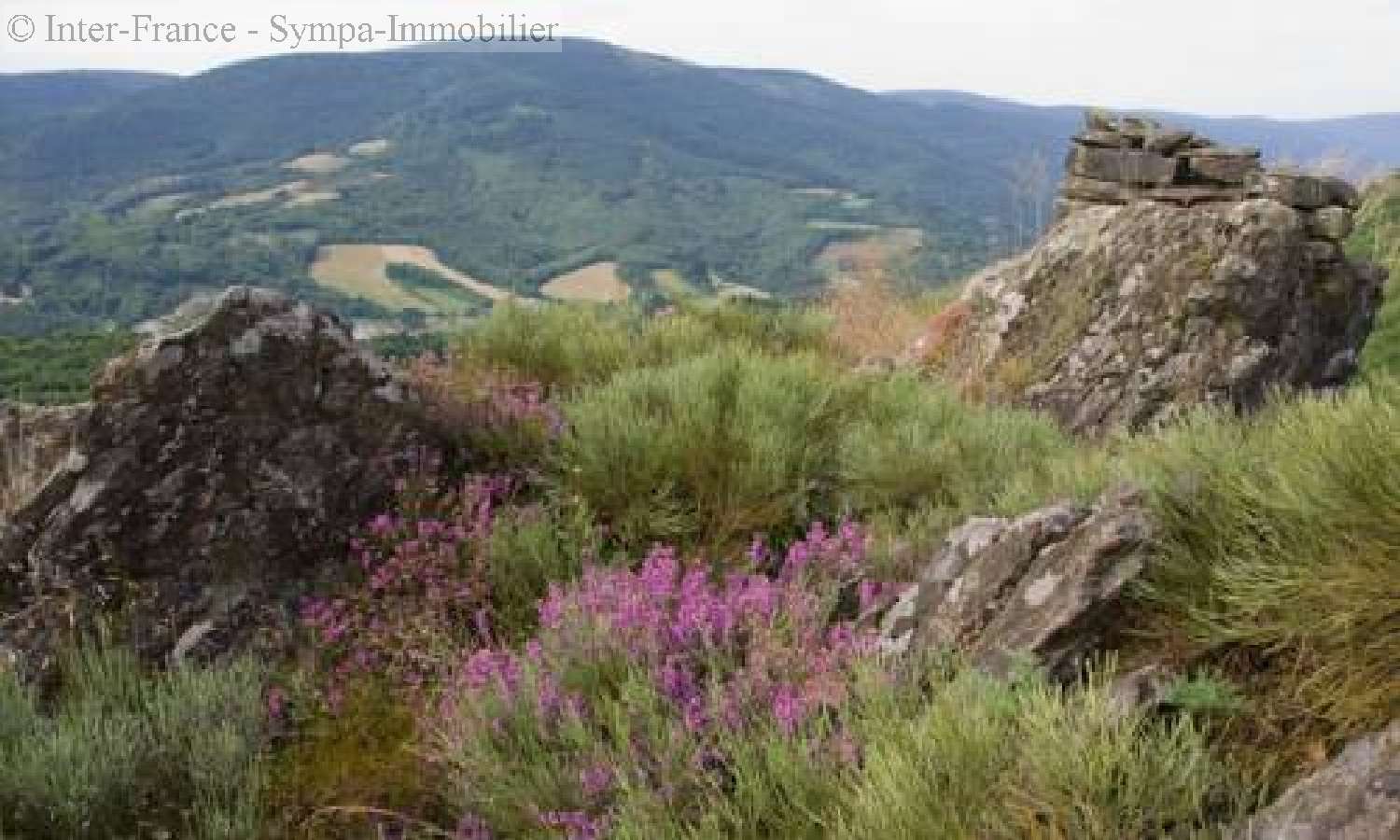  te koop camping Cambon-et-Salvergues Hérault 3