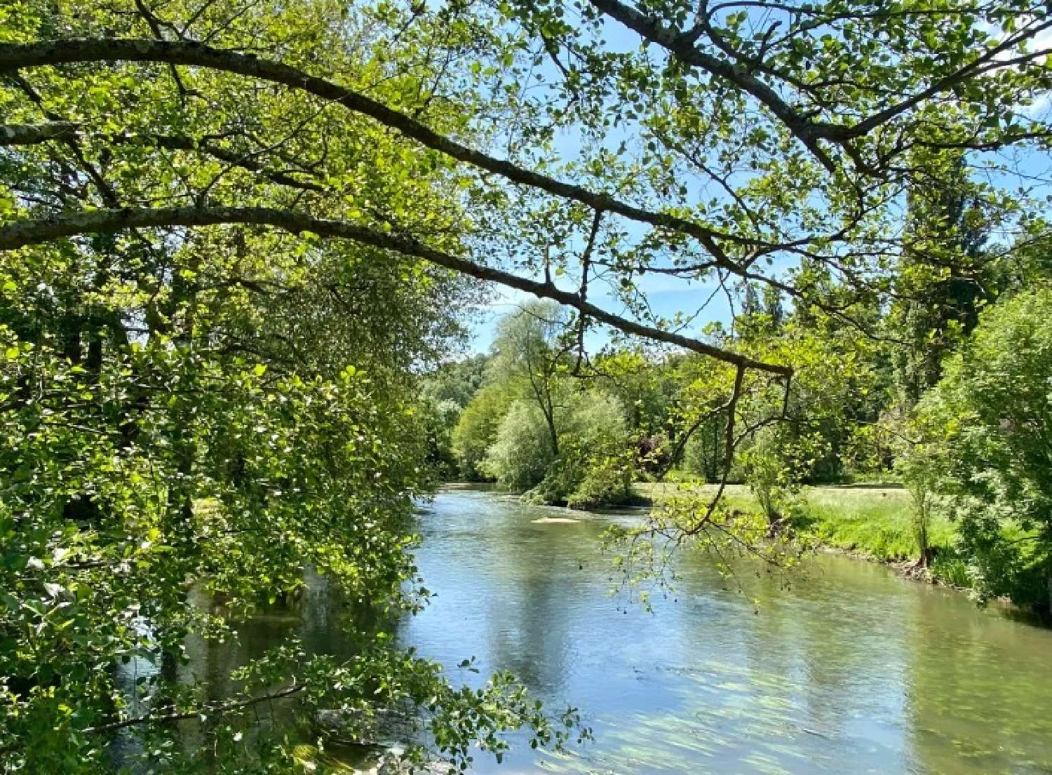  for sale castle Alençon Orne 4